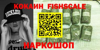 стаф Гатчина