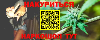 стаф Гатчина