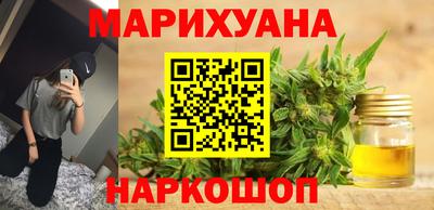 крисы Гай