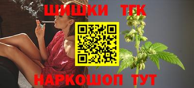 крисы Гай