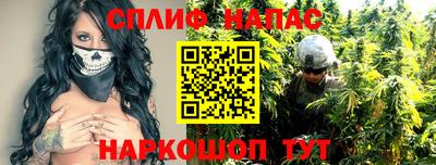 крисы Гай