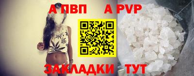 стаф Гатчина