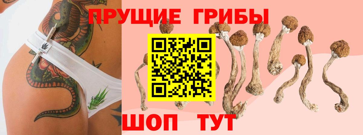 Псилоцибиновые грибы GOLDEN TEACHER  Галлюциногенные грибы мицелий  закладки  Минеральные Воды  Вход с VPN 